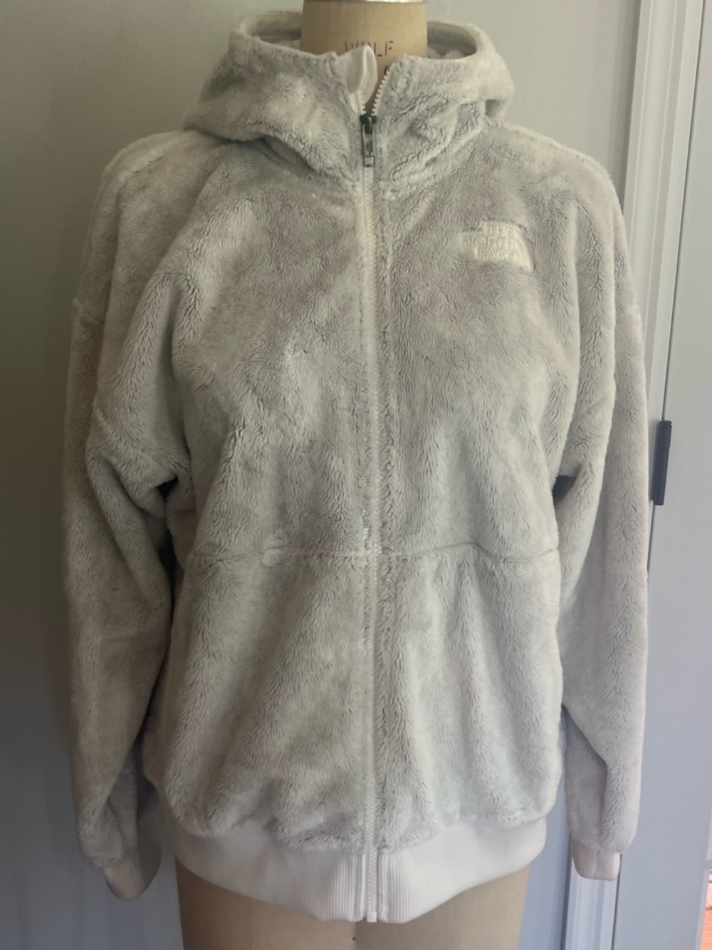 The North Face Women's Light Gray Teddy Fleece Zip Hoodie